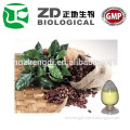 chlorogenic acid 25%-98% green coffee bean extract powder